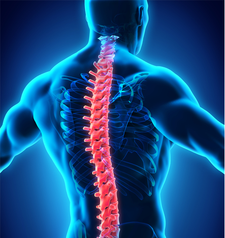 Spine Surgery Kochi Kerala